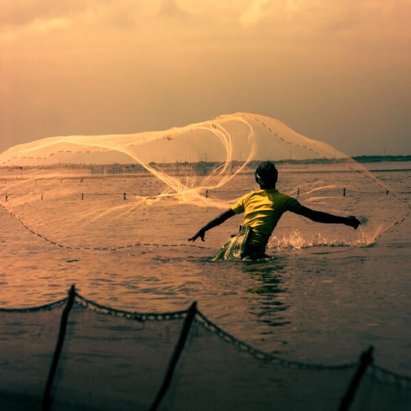 Edited (78)